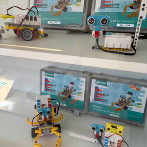 Red%20Mad%20Rural%20Lab